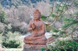 Vedanta Spiritual & Holistic Retreat is soothing, peaceful, and magical energy. It’s an ideal place for healing, nurturing, growing, and empowering.